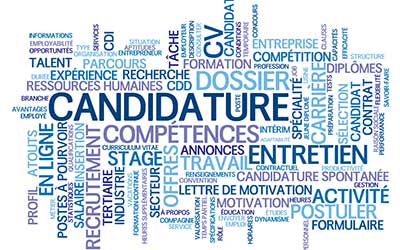 insertion-professionnelle